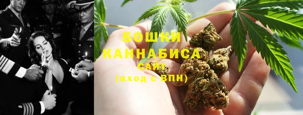 ГАЛЛЮЦИНОГЕННЫЕ ГРИБЫ Алзамай