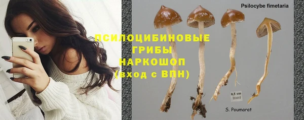 герыч Алексеевка
