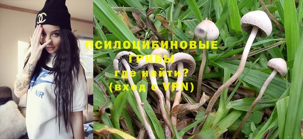 ГАЛЛЮЦИНОГЕННЫЕ ГРИБЫ Алзамай