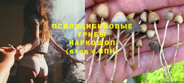 ГАЛЛЮЦИНОГЕННЫЕ ГРИБЫ Алзамай