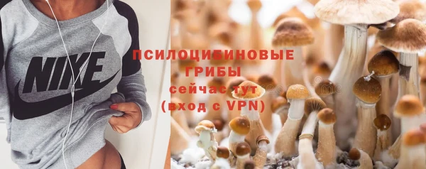 Альфа ПВП Алексин